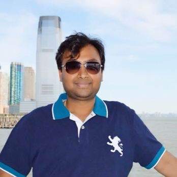 Piyush Kumar Mittal-Freelancer in Gurgaon,India