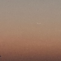 Sana Meraj-Freelancer in Delhi Division,India