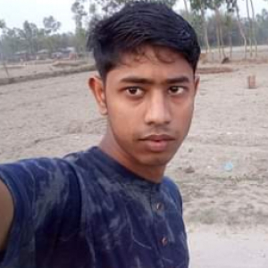 Maruf Hasan-Freelancer in Pirgachha,Bangladesh