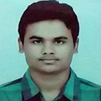 Himalaya Gupta-Freelancer in ,India