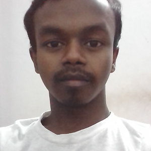 Narayan Mallik-Freelancer in Haora,India