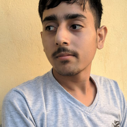 Dhiman Kuldeep-Freelancer in ,India
