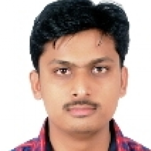 Vijay Pimparkar-Freelancer in ,India