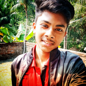 Susovan Maji-Freelancer in ,India