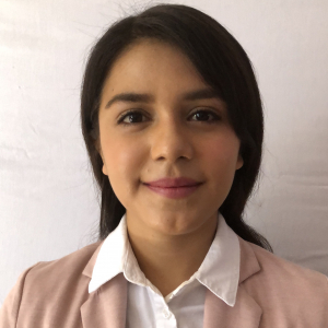 Maricela Basurto-Freelancer in ,Mexico