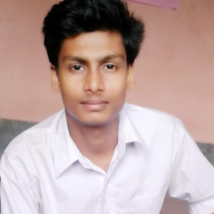 Snehashis Ghosh-Freelancer in Burdwan,India