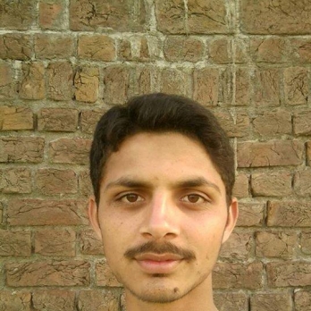 Arslan Ali-Freelancer in Malakwal,Pakistan