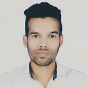 Manish Raj-Freelancer in bihar sharif,India
