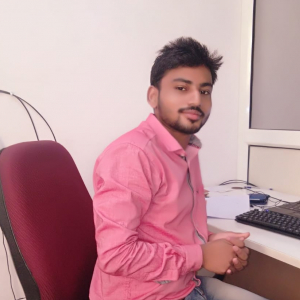Vishant Chauhan-Freelancer in Noida,India
