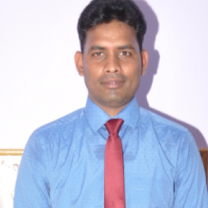 Niranjan Reddy-Freelancer in Bengaluru,India
