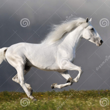 Ekta Mourya-Freelancer in gurugram,India