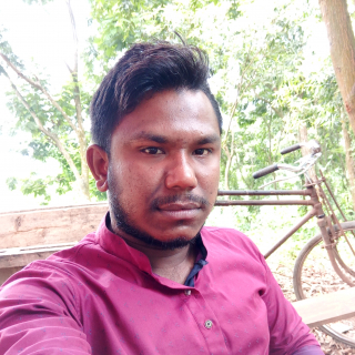 Rejaul Karim-Freelancer in Sherpur,Bangladesh