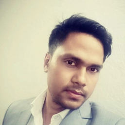 Raju Kumar-Freelancer in Patna Bihar,India