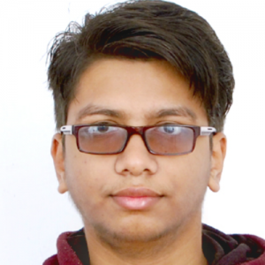 Thakur Aryan Singh-Freelancer in Kanpur,India