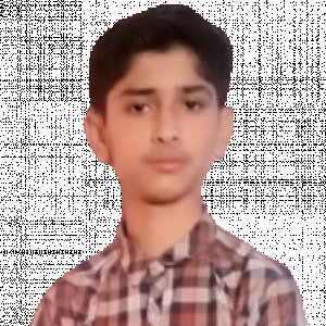 Mohammad Abdulmoeez Mughal-Freelancer in Hafizabad,Pakistan