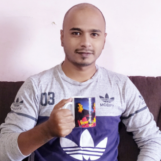 Saurabh Dhokne-Freelancer in ,India