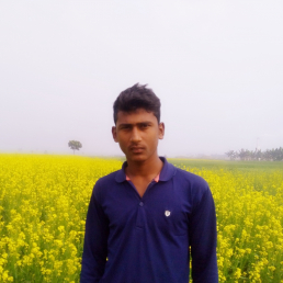 Md Abusalek Mollah-Freelancer in Dhaka,Bangladesh