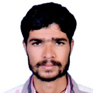 Bhupendra Kumar-Freelancer in Jaipur,India