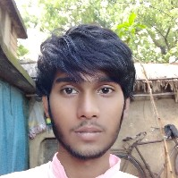 Ziu Hoque-Freelancer in ,India