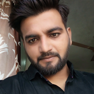 Alpesh Boricha-Freelancer in Rajkot,India