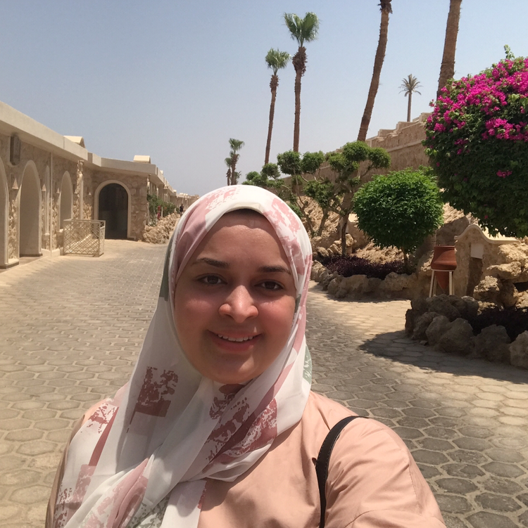 Sara Elmorshidy-Freelancer in ,Egypt