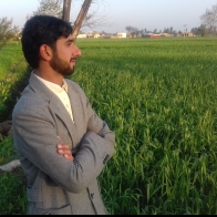 Asif Ali Chheena-Freelancer in Gujranwala,Pakistan
