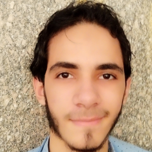 Abdallah Eldesouky-Freelancer in Ismailia,Egypt