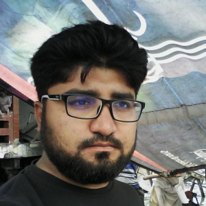 Faisal Naseem-Freelancer in Islamabad,Pakistan