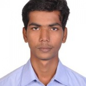 Logesh N-Freelancer in Coimbatore,India