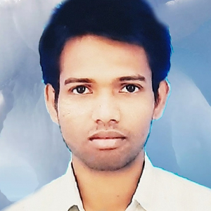 Balaram Mandal-Freelancer in NORTH TWENTY FOUR PARGANAS,India