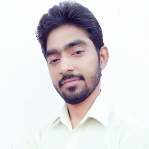 Rajeev Kumar-Freelancer in BAREILLY,India