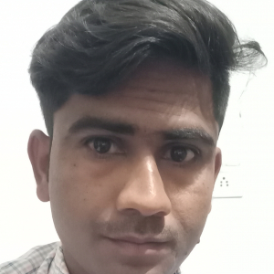 Rakesh Kumar Meena-Freelancer in ,India