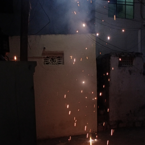Sobharani Chekuru-Freelancer in hyderabad,India
