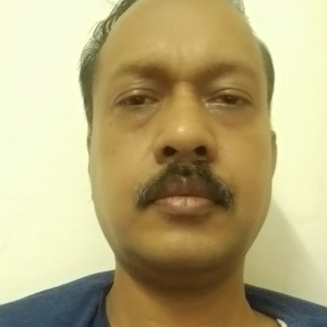 Himadri Chauhan-Freelancer in Hinganghat,India