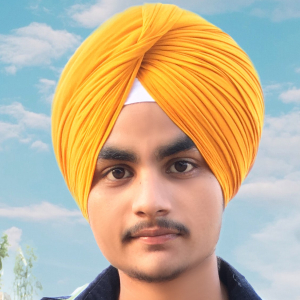Balkar Singh-Freelancer in Ludhiana,India