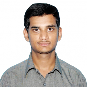 Ajay Pothuri-Freelancer in ,India