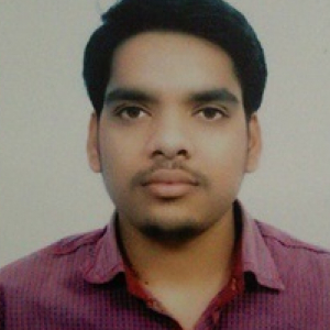 Praveen Thakur-Freelancer in ,India