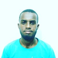 Ahmed Abdalla-Freelancer in ,Canada