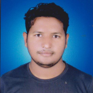 Romanchal Naik-Freelancer in Madhipur,India