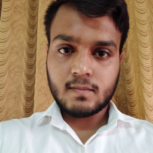 Shubham Rana-Freelancer in Delhi,India