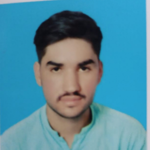 Shahzad Khan-Freelancer in ,Pakistan