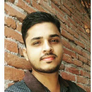 Vipin Pandey-Freelancer in Prayagraj,India