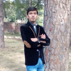Umair Raza-Freelancer in Lahore,Pakistan