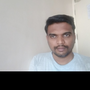 Balamurugan R-Freelancer in ,India