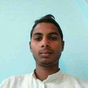Amir Ansari-Freelancer in ,India
