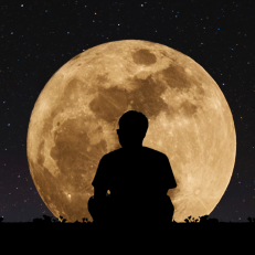 Vishal Shinde-Freelancer in Akole,India