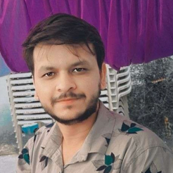 Ashish Bhatt-Freelancer in ,India