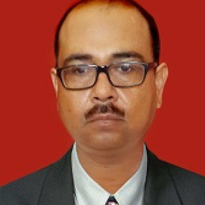 Pratap Mishra-Freelancer in ,India