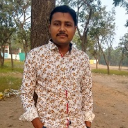 Rasmikant Rathod-Freelancer in surat,India