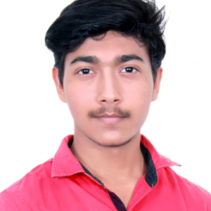 Sohan Raul-Freelancer in ,India